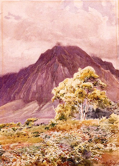 Painter Henry Otto Wix visits Kauai - The Garden Island