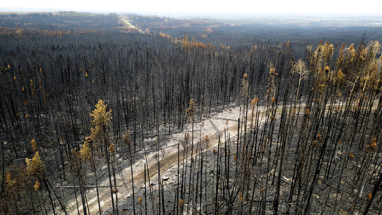 British Columbia Wildfires Burned A Record Amount Of Area The Garden   Web1 14013061 358969bebbbb47458362105d718de21c 